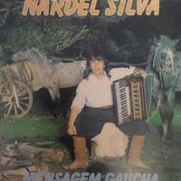 Nardel Silva's avatar cover