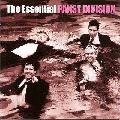 Anthem By Pansy Division's cover