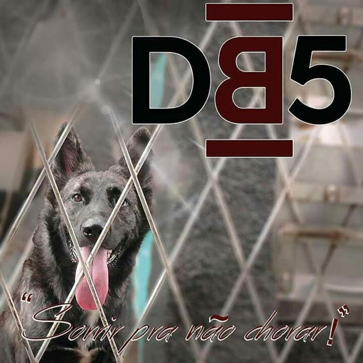 Band Db5's avatar image