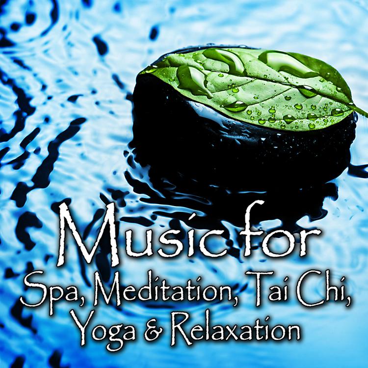 Spa Music Players's avatar image