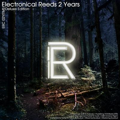 Electronical Reeds 2 Years's cover