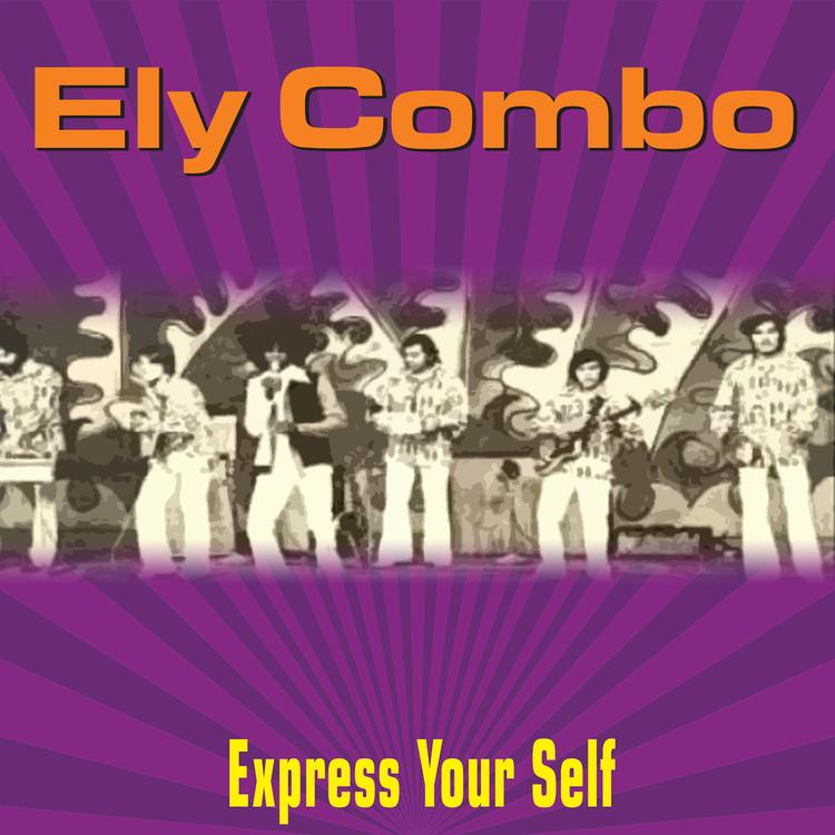 Ely Combo's avatar image