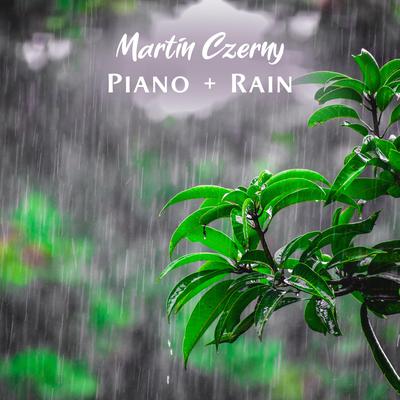 Light the Way (Rainy Mood) By Martin Czerny's cover