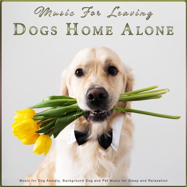 Calming Music for Dogs's avatar image