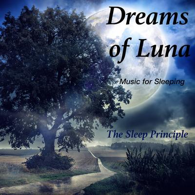 Eyes Closed By The Sleep Principle's cover