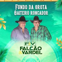 Falcão e Vardel's avatar cover