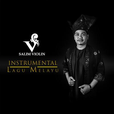 Salim Violin's cover