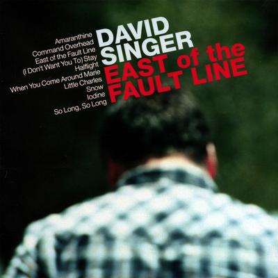 David Singer's cover