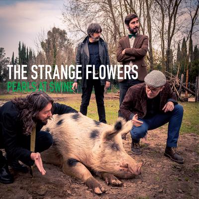Rose Lynn By The Strange Flowers's cover