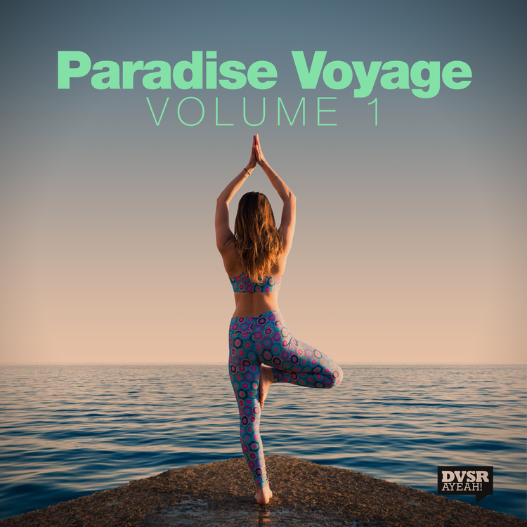Paradise Voyage's avatar image