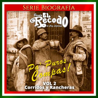 Corrido de Domingo Corrales By Banda El Recodo de Cruz Lizãrraga's cover