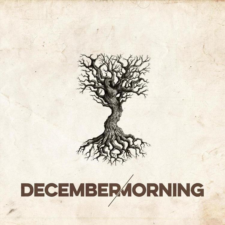 December Morning's avatar image