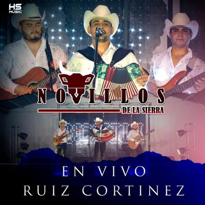 En Vivo Ruiz Cortinez's cover