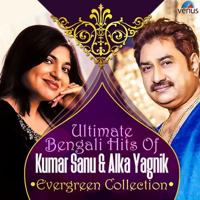 Priya Tumi By Kumar Sanu, Alka Yagnik's cover