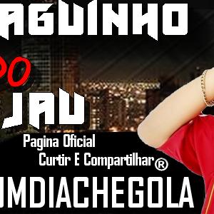 Mc Thiaguinho Do Grajau's cover
