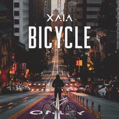 Bicycle's cover