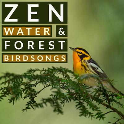 Zen Water and Forest Birdsongs - Nature Sounds For Relaxation's cover