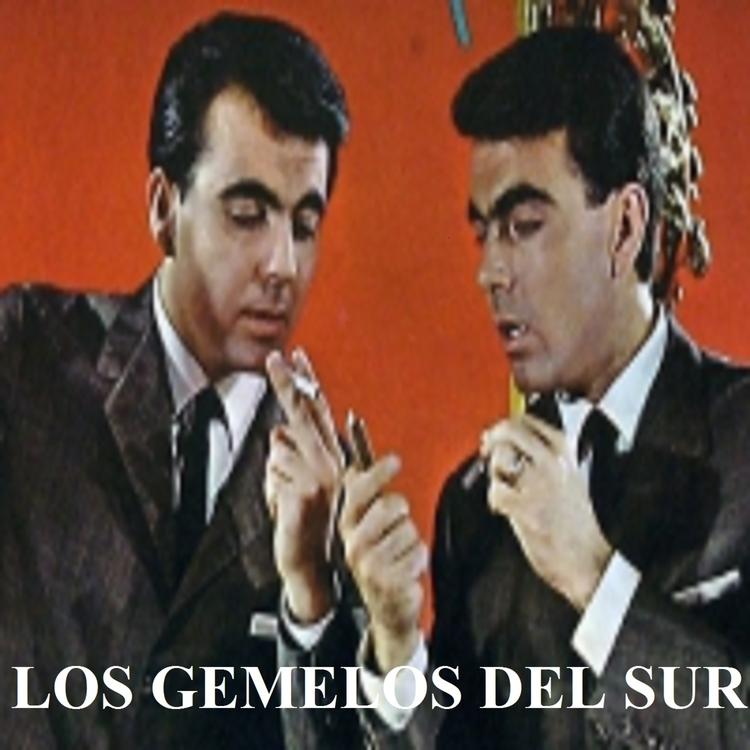 Los Gemelos del Sur's avatar image