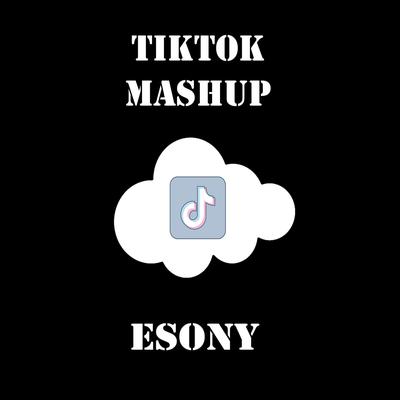 Tiktok Mashup's cover