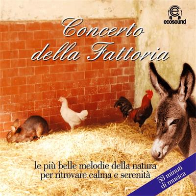 Il verso della gallina's cover