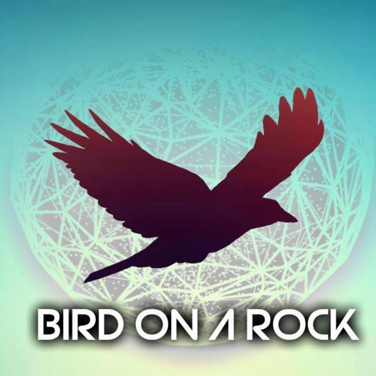 Bird On a Rock's avatar image