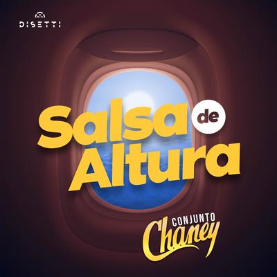 Vamos A Darnos Tiempo By Conjunto Chaney's cover