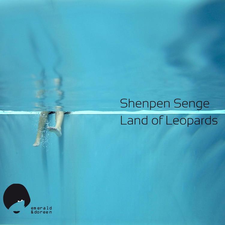 Shenpen Senge's avatar image