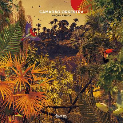 Nação África By Camarão Orkestra's cover