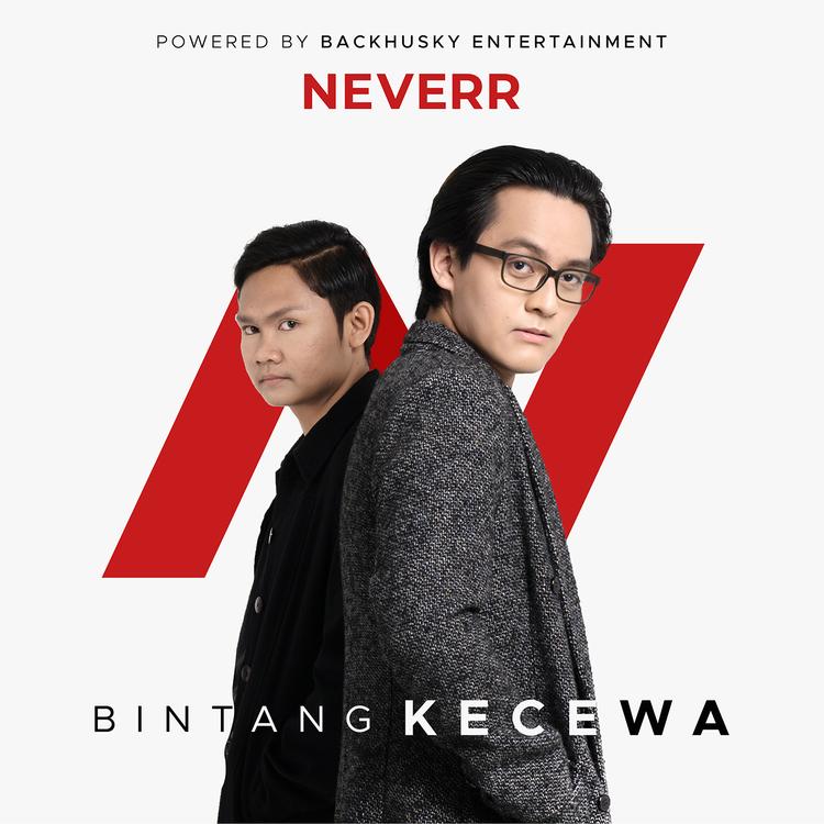 Neverr's avatar image