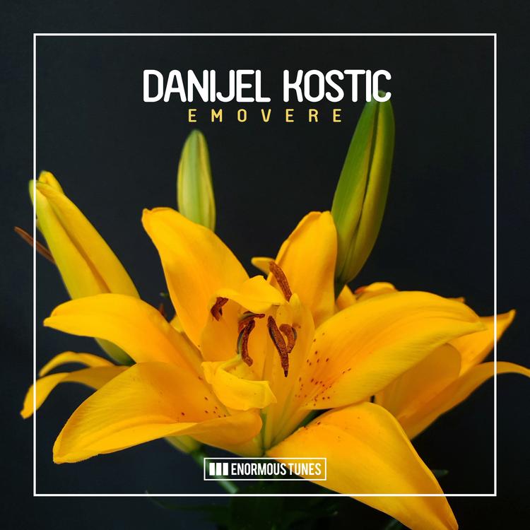 Danijel Kostic's avatar image