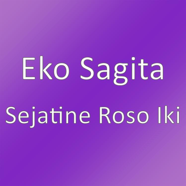 Eko Sagita's avatar image