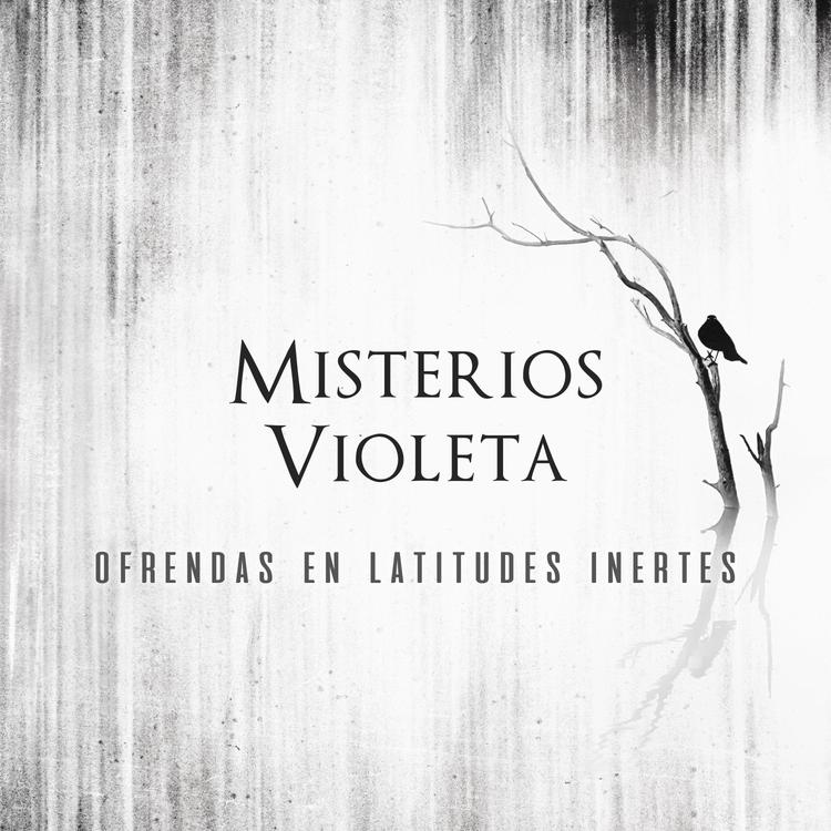 Misterios Violeta's avatar image