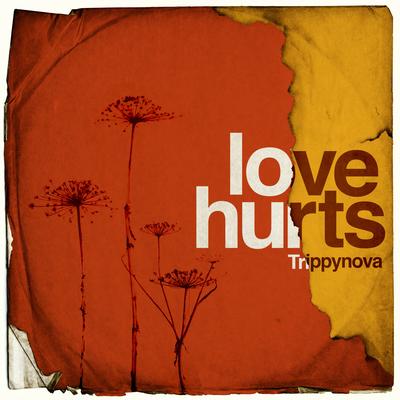 Love Hurts By Trippynova's cover