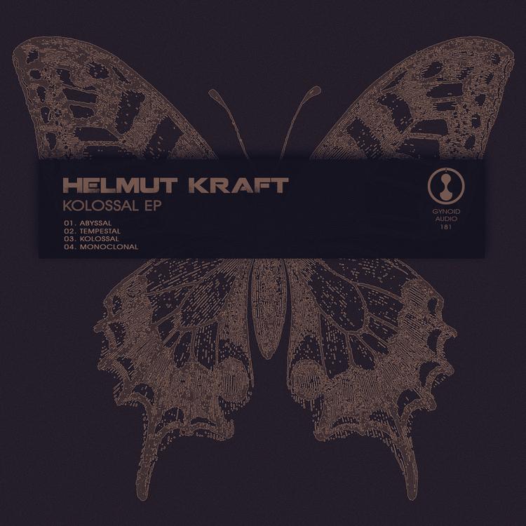 Helmut Kraft's avatar image