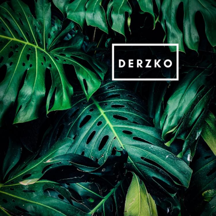 derzko's avatar image