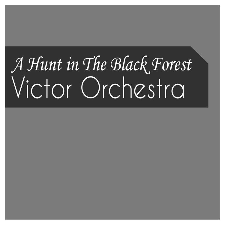 Victor Orchestra's avatar image
