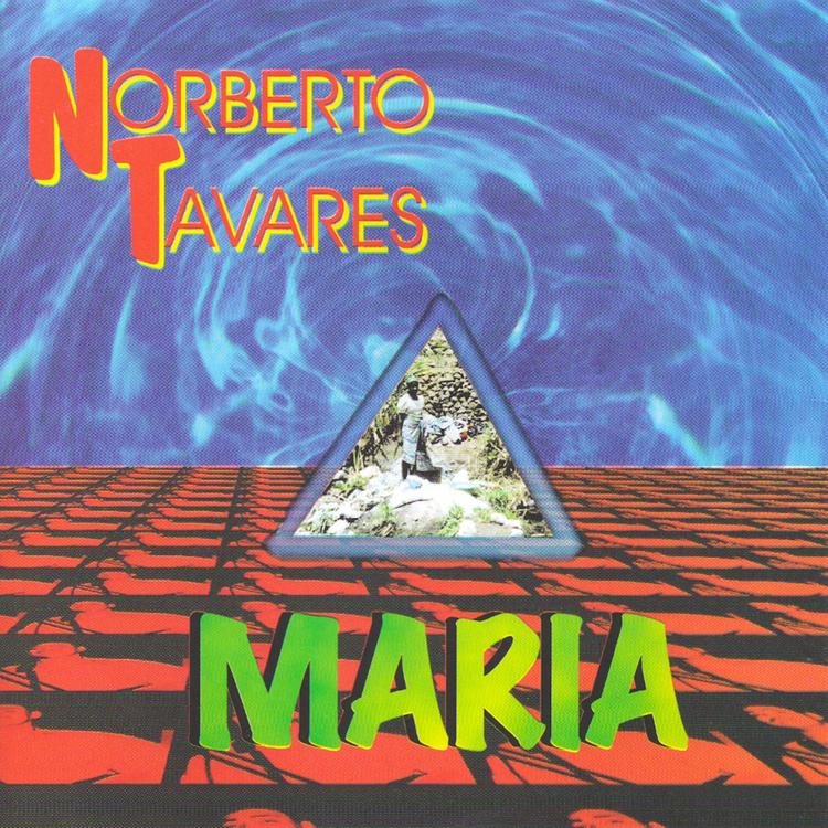 Norberto Tavares's avatar image