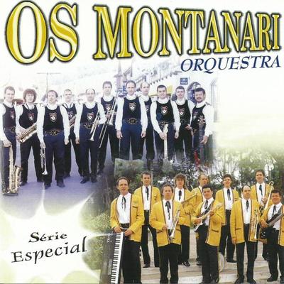 O Verão Sempre Vai Voltar By Os Montanari's cover