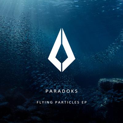 Flying Particles (Extended Mix) By Paradoks's cover