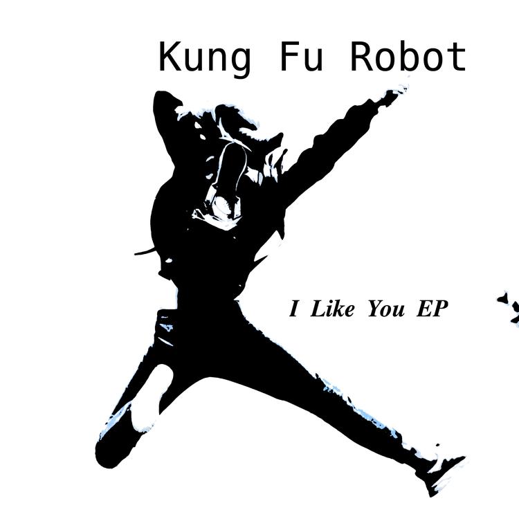 Kung Fu Robot's avatar image