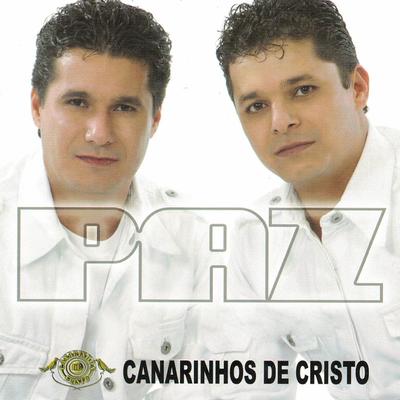 Deixo o Fogo Arder By Canarinhos de Cristo's cover