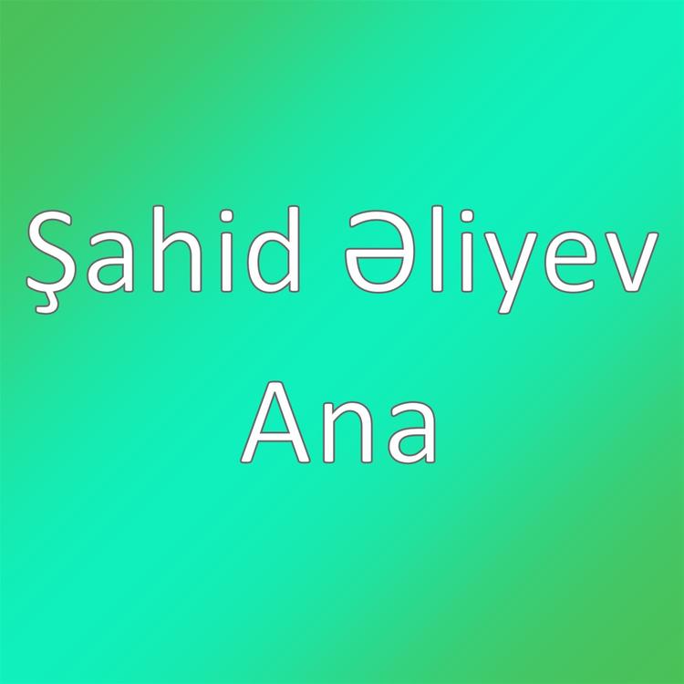 Şahid Əliyev's avatar image