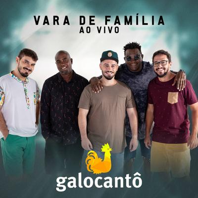 Vara de Família (Ao Vivo) By Galocantô's cover