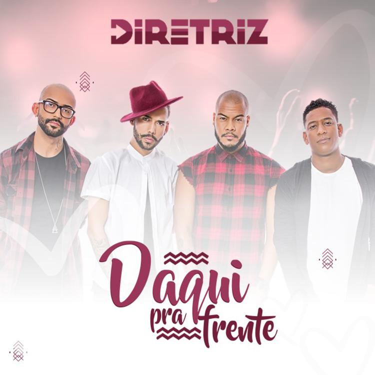 Grupo Diretriz's avatar image