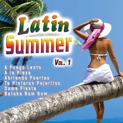 Latin Summer Vol. 1's cover