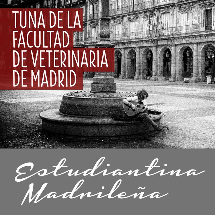 Tuna de la Facultad de Veterinaria de Madrid's avatar image