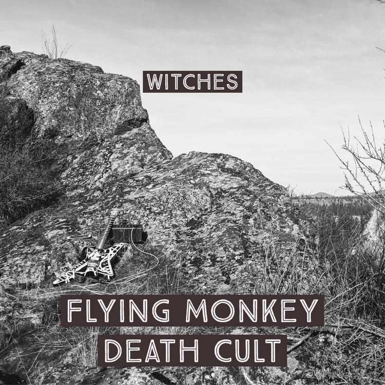 Flying Monkey Death Cult's avatar image