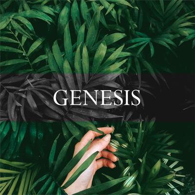 Genesis By Kevin Aleksander's cover