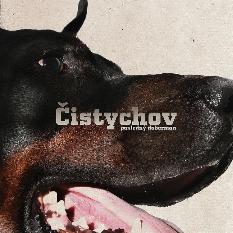 Cistychov's avatar image