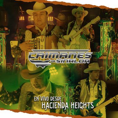 Los Caimanes De Sinaloa's cover